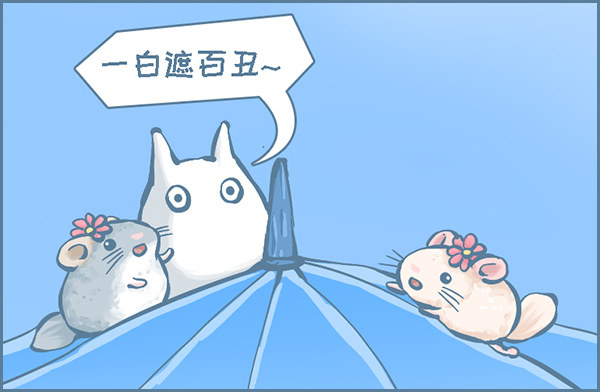 《我家有只小龙猫》漫画最新章节当龙猫遇见龙猫免费下拉式在线观看章节第【8】张图片