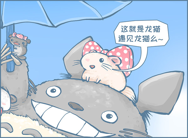 《我家有只小龙猫》漫画最新章节当龙猫遇见龙猫免费下拉式在线观看章节第【9】张图片