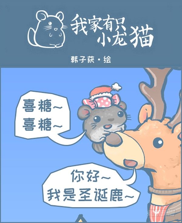 《我家有只小龙猫》漫画最新章节2018年的剩蛋故事（下）免费下拉式在线观看章节第【1】张图片