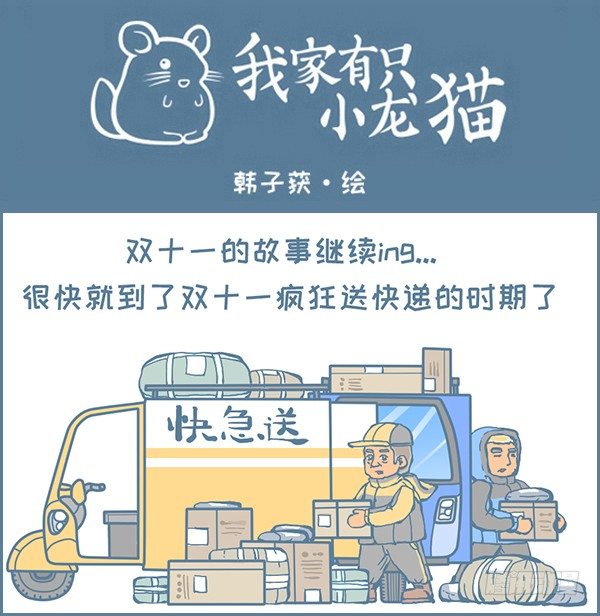 《我家有只小龙猫》漫画最新章节双十一的后续故事（1）免费下拉式在线观看章节第【1】张图片