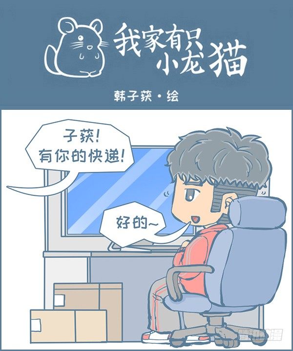 《我家有只小龙猫》漫画最新章节双十一的后续故事（2）免费下拉式在线观看章节第【1】张图片