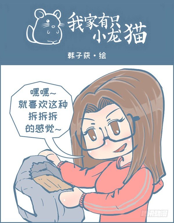 《我家有只小龙猫》漫画最新章节双十一的后续故事（4）免费下拉式在线观看章节第【1】张图片