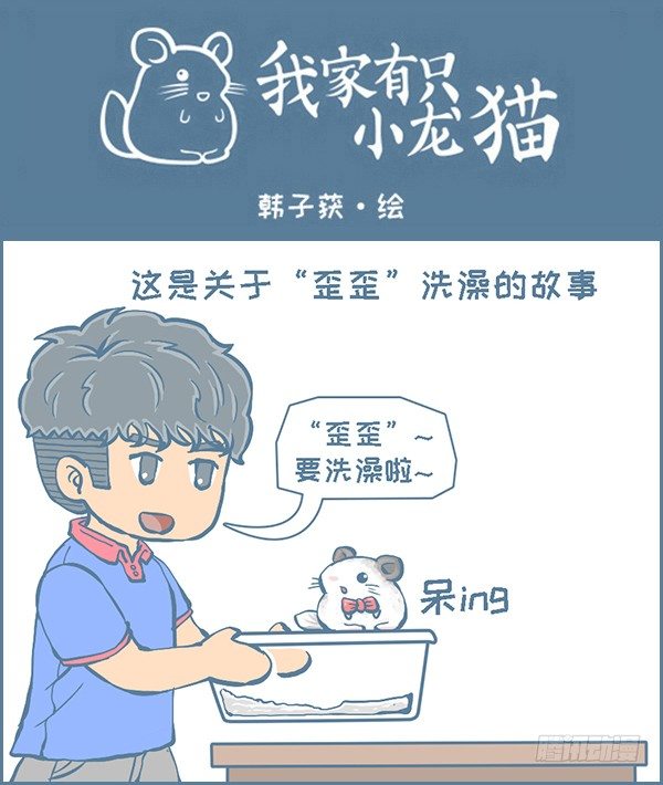 《我家有只小龙猫》漫画最新章节龙猫“歪歪”不洗澡了（1）免费下拉式在线观看章节第【1】张图片