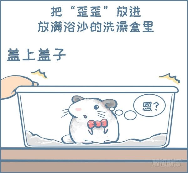 《我家有只小龙猫》漫画最新章节龙猫“歪歪”不洗澡了（1）免费下拉式在线观看章节第【2】张图片