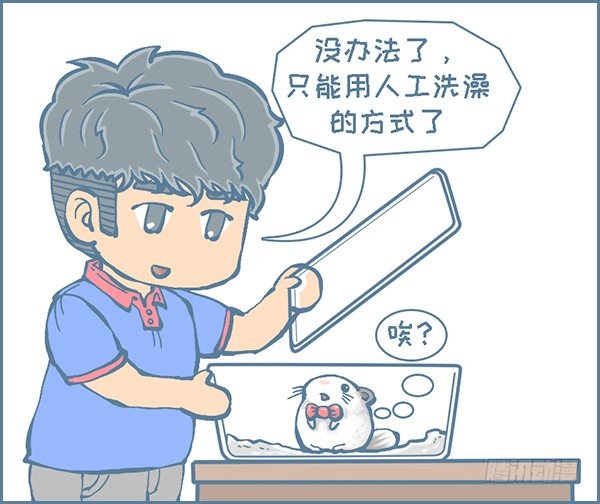 《我家有只小龙猫》漫画最新章节龙猫“歪歪”不洗澡了（2）免费下拉式在线观看章节第【2】张图片