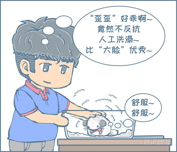 《我家有只小龙猫》漫画最新章节龙猫“歪歪”不洗澡了（2）免费下拉式在线观看章节第【4】张图片