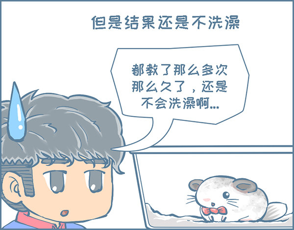 《我家有只小龙猫》漫画最新章节龙猫“歪歪”不洗澡了（3）免费下拉式在线观看章节第【4】张图片