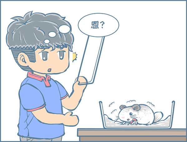 《我家有只小龙猫》漫画最新章节龙猫“歪歪”不洗澡了（4）免费下拉式在线观看章节第【2】张图片