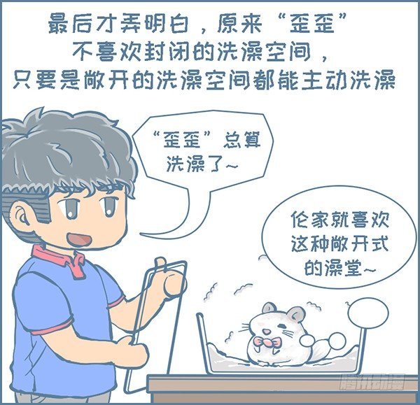 《我家有只小龙猫》漫画最新章节龙猫“歪歪”不洗澡了（4）免费下拉式在线观看章节第【5】张图片