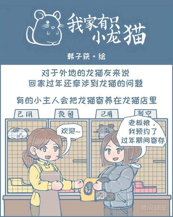 《我家有只小龙猫》漫画最新章节在外打拼，回家过年（2）免费下拉式在线观看章节第【1】张图片