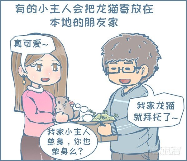 《我家有只小龙猫》漫画最新章节在外打拼，回家过年（2）免费下拉式在线观看章节第【2】张图片