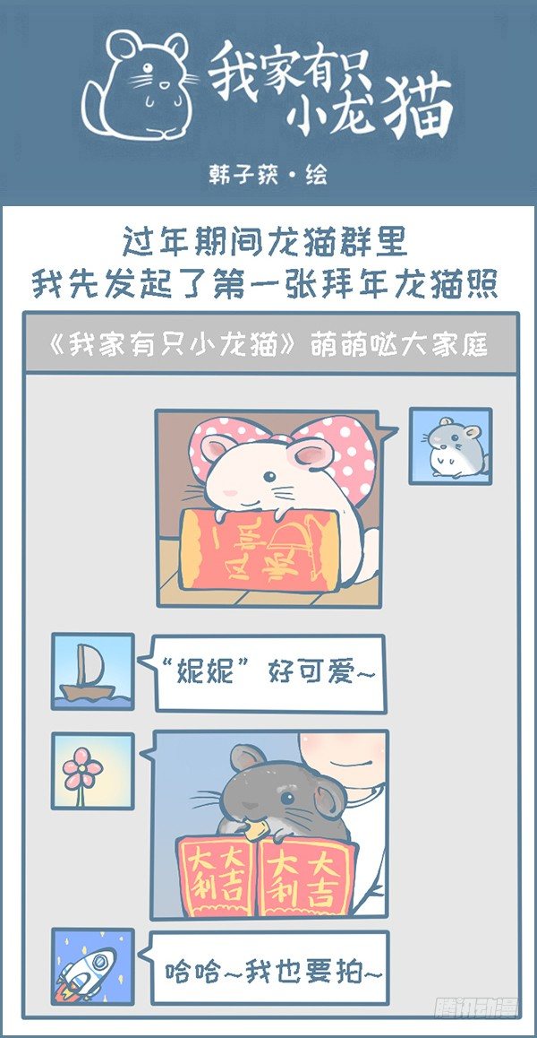 《我家有只小龙猫》漫画最新章节过年龙猫群的故事（上）免费下拉式在线观看章节第【1】张图片