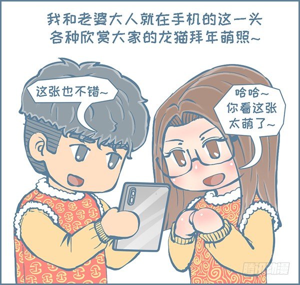 《我家有只小龙猫》漫画最新章节过年龙猫群的故事（下）免费下拉式在线观看章节第【4】张图片