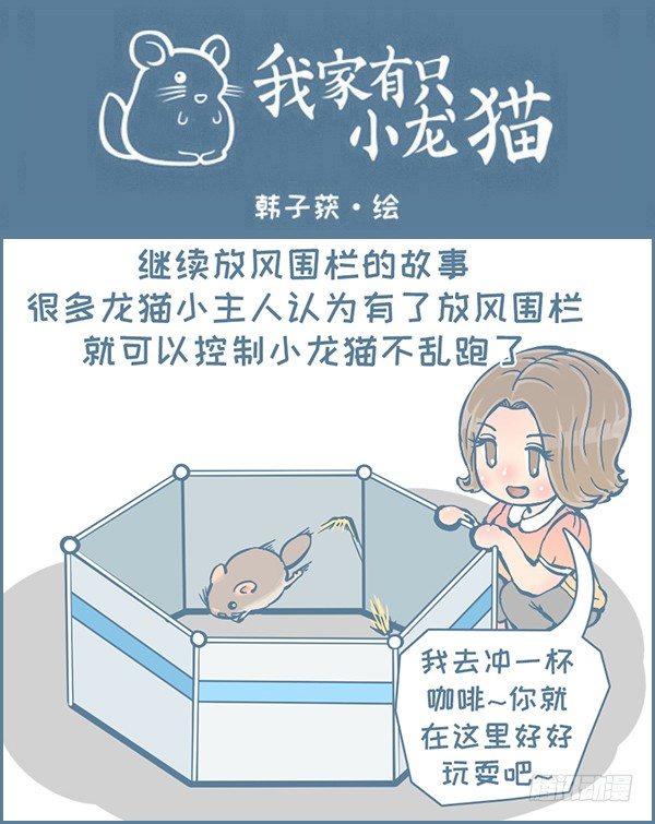 《我家有只小龙猫》漫画最新章节龙猫放风围栏（上）免费下拉式在线观看章节第【1】张图片