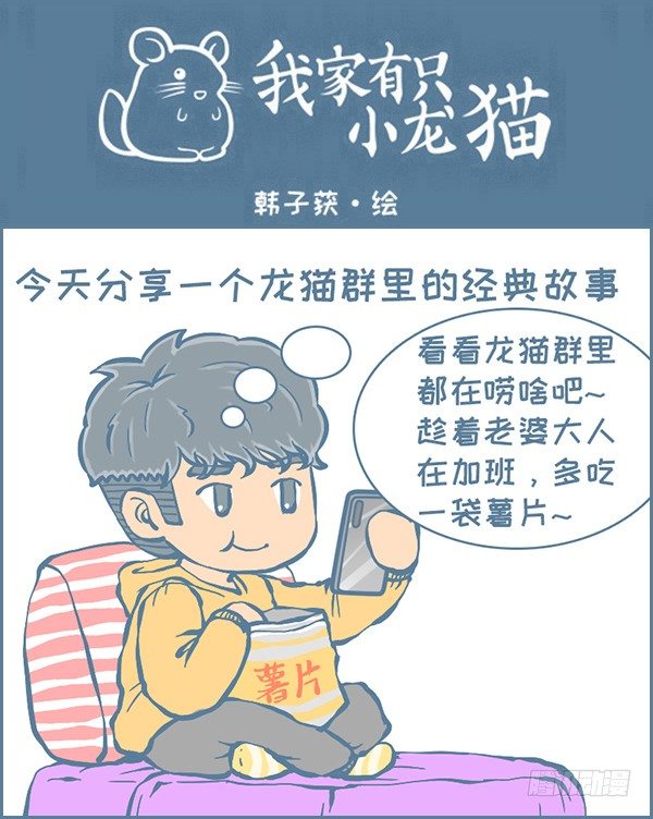 《我家有只小龙猫》漫画最新章节龙猫蛋仔的黑历史（上）免费下拉式在线观看章节第【1】张图片