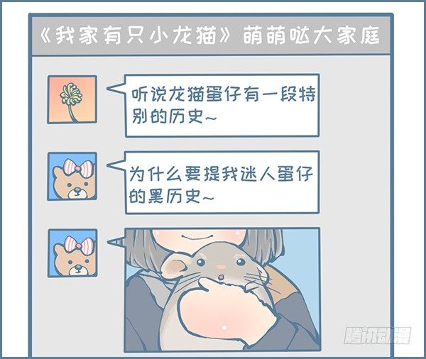 《我家有只小龙猫》漫画最新章节龙猫蛋仔的黑历史（上）免费下拉式在线观看章节第【2】张图片