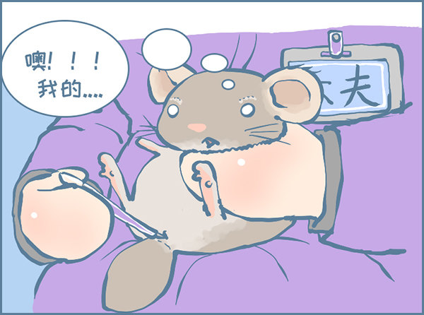 《我家有只小龙猫》漫画最新章节龙猫蛋仔的黑历史（下）免费下拉式在线观看章节第【4】张图片