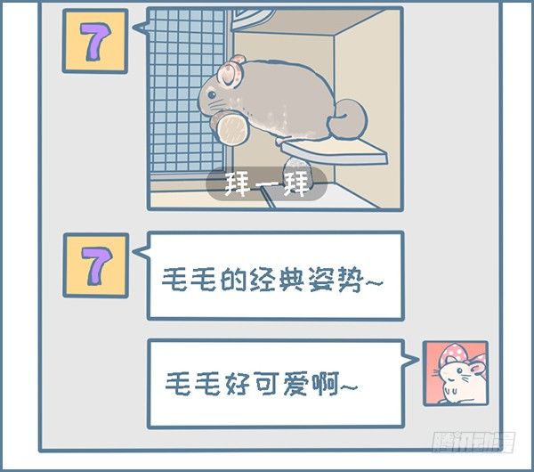 《我家有只小龙猫》漫画最新章节龙猫毛毛的有趣照片（上）免费下拉式在线观看章节第【4】张图片