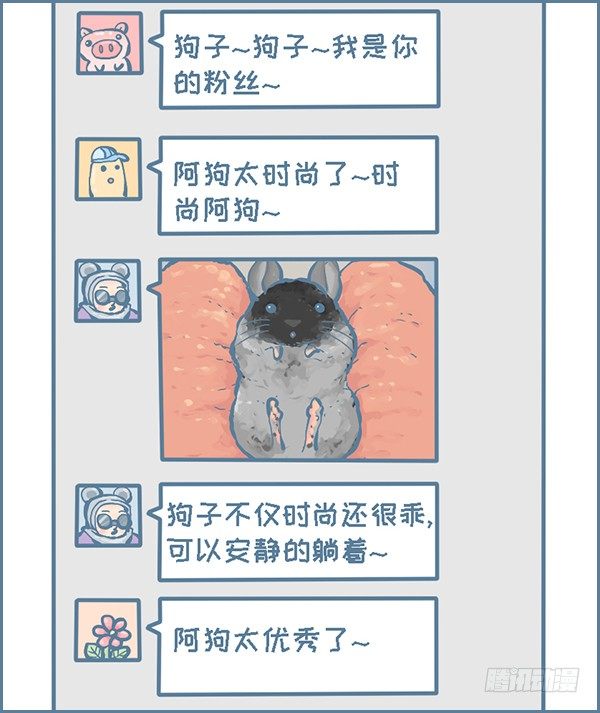 《我家有只小龙猫》漫画最新章节时尚的龙猫阿狗（上）免费下拉式在线观看章节第【4】张图片