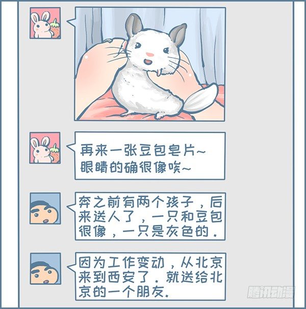 《我家有只小龙猫》漫画最新章节龙猫千里认亲（上）免费下拉式在线观看章节第【3】张图片