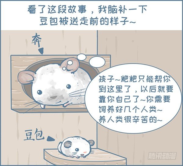 《我家有只小龙猫》漫画最新章节龙猫千里认亲（下）免费下拉式在线观看章节第【4】张图片