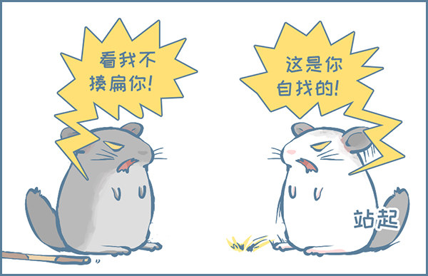 《我家有只小龙猫》漫画最新章节龙猫的打仗方式（下）免费下拉式在线观看章节第【3】张图片