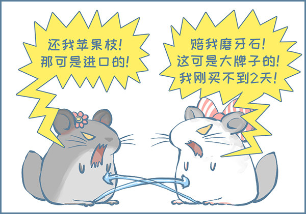 《我家有只小龙猫》漫画最新章节龙猫呲尿学（上）免费下拉式在线观看章节第【2】张图片