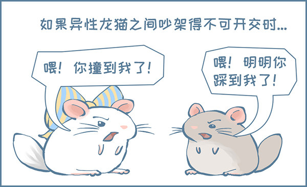 《我家有只小龙猫》漫画最新章节龙猫呲尿学（上）免费下拉式在线观看章节第【3】张图片