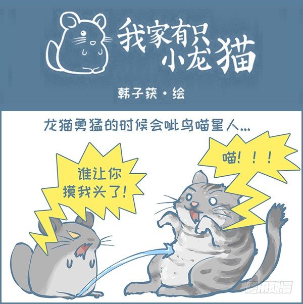 《我家有只小龙猫》漫画最新章节龙猫呲尿学（下）免费下拉式在线观看章节第【1】张图片