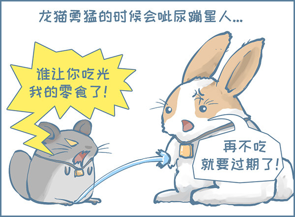 《我家有只小龙猫》漫画最新章节龙猫呲尿学（下）免费下拉式在线观看章节第【3】张图片