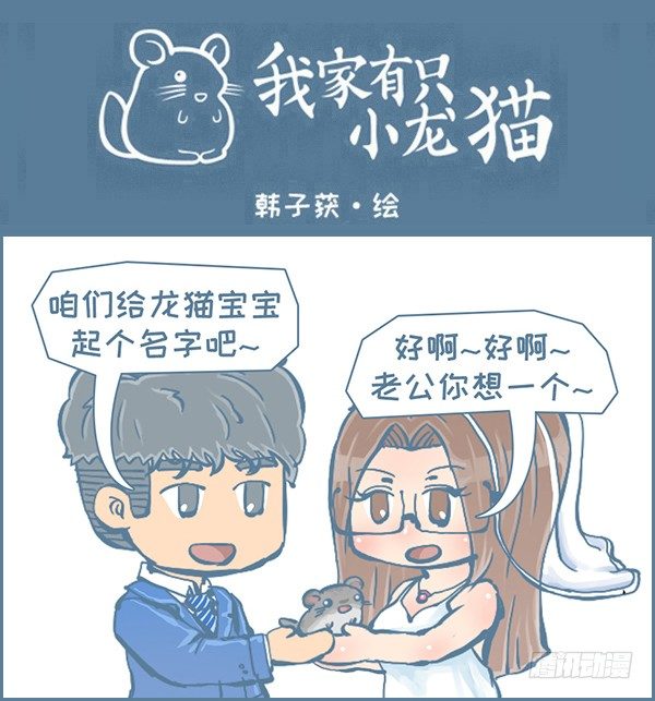 《我家有只小龙猫》漫画最新章节我叫喜糖（下）免费下拉式在线观看章节第【1】张图片