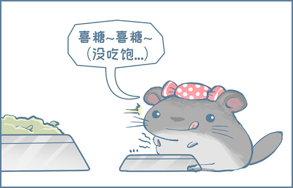 《我家有只小龙猫》漫画最新章节喜糖的特点（上）免费下拉式在线观看章节第【3】张图片