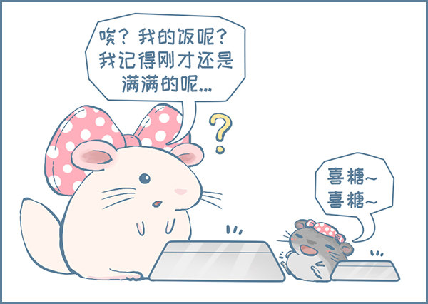 《我家有只小龙猫》漫画最新章节喜糖的特点（上）免费下拉式在线观看章节第【4】张图片