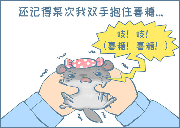 《我家有只小龙猫》漫画最新章节喜糖的特点（下）免费下拉式在线观看章节第【3】张图片