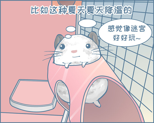 《我家有只小龙猫》漫画最新章节龙猫大春子的跳板免费下拉式在线观看章节第【2】张图片