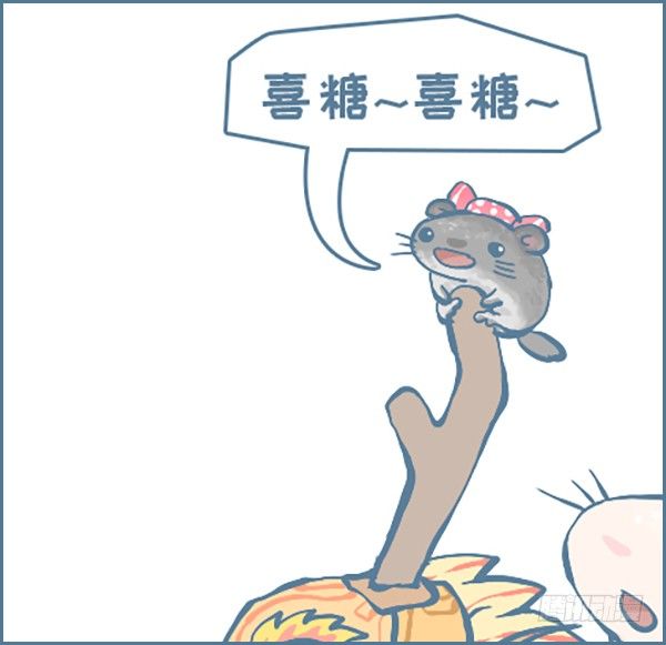 《我家有只小龙猫》漫画最新章节端午节划龙舟免费下拉式在线观看章节第【1】张图片