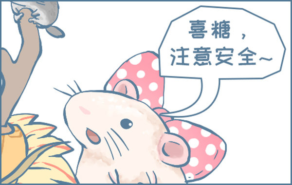 《我家有只小龙猫》漫画最新章节端午节划龙舟免费下拉式在线观看章节第【2】张图片