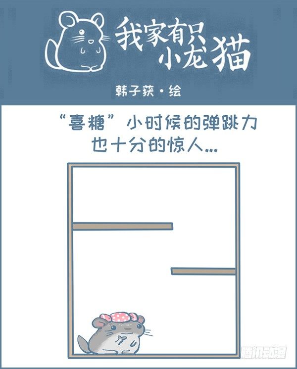 《我家有只小龙猫》漫画最新章节喜糖的弹跳（2）免费下拉式在线观看章节第【1】张图片