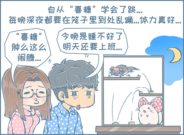 《我家有只小龙猫》漫画最新章节喜糖的弹跳（2）免费下拉式在线观看章节第【4】张图片