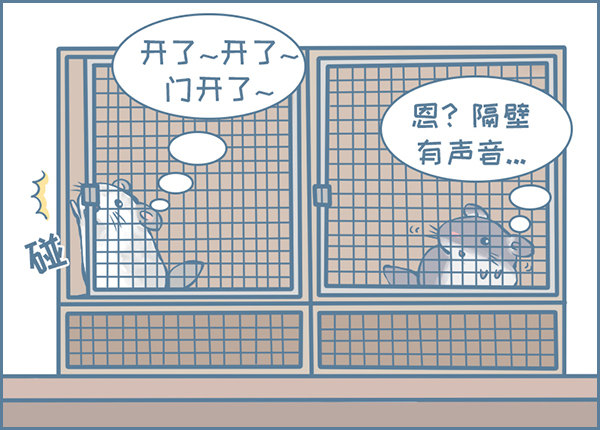 《我家有只小龙猫》漫画最新章节龙猫国儿“越狱”记（1）免费下拉式在线观看章节第【2】张图片