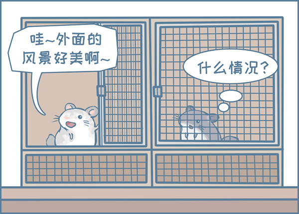 《我家有只小龙猫》漫画最新章节龙猫国儿“越狱”记（1）免费下拉式在线观看章节第【3】张图片