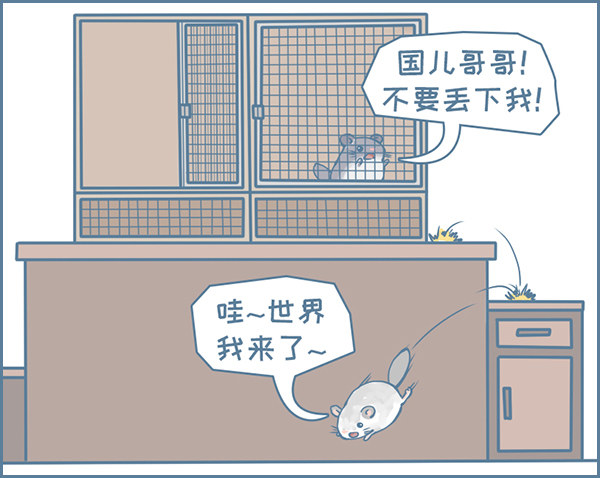 《我家有只小龙猫》漫画最新章节龙猫国儿“越狱”记（2）免费下拉式在线观看章节第【3】张图片