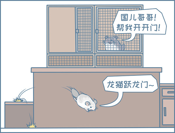 《我家有只小龙猫》漫画最新章节龙猫国儿“越狱”记（2）免费下拉式在线观看章节第【5】张图片