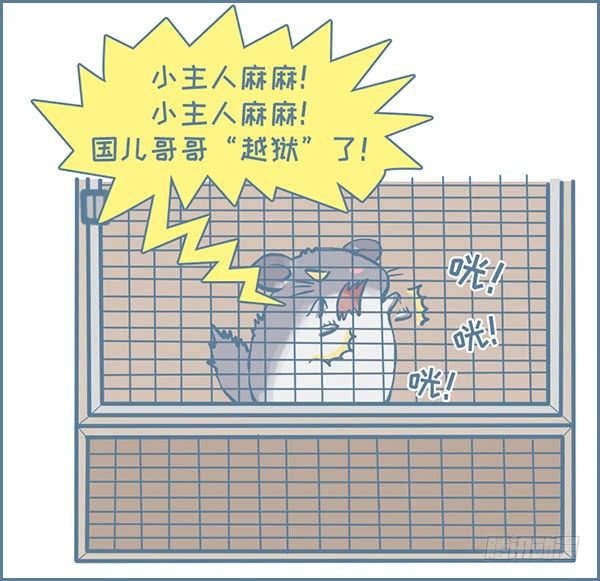 《我家有只小龙猫》漫画最新章节龙猫国儿“越狱”记（3）免费下拉式在线观看章节第【2】张图片