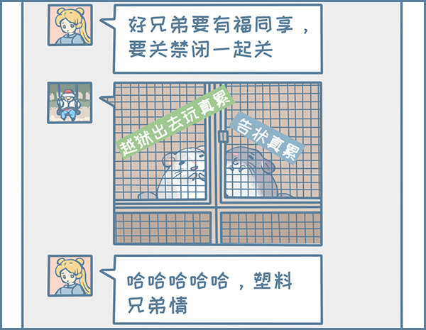 《我家有只小龙猫》漫画最新章节龙猫国儿“越狱”记（4）免费下拉式在线观看章节第【3】张图片