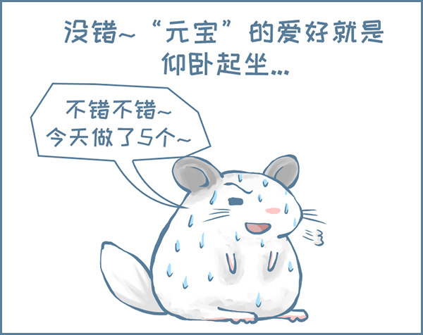 《我家有只小龙猫》漫画最新章节龙猫“元宝”的故事-2免费下拉式在线观看章节第【4】张图片