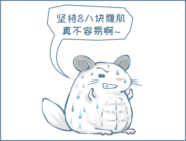 《我家有只小龙猫》漫画最新章节龙猫“元宝”的故事-2免费下拉式在线观看章节第【5】张图片