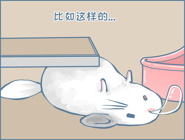 《我家有只小龙猫》漫画最新章节龙猫“元宝”的故事-3免费下拉式在线观看章节第【2】张图片