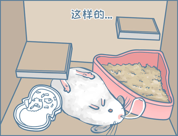 《我家有只小龙猫》漫画最新章节龙猫“元宝”的故事-3免费下拉式在线观看章节第【3】张图片