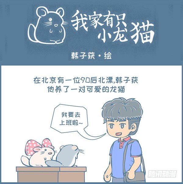 《我家有只小龙猫》漫画最新章节可爱的龙猫袜子（下）免费下拉式在线观看章节第【1】张图片